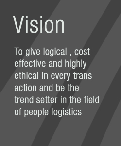 Vision 